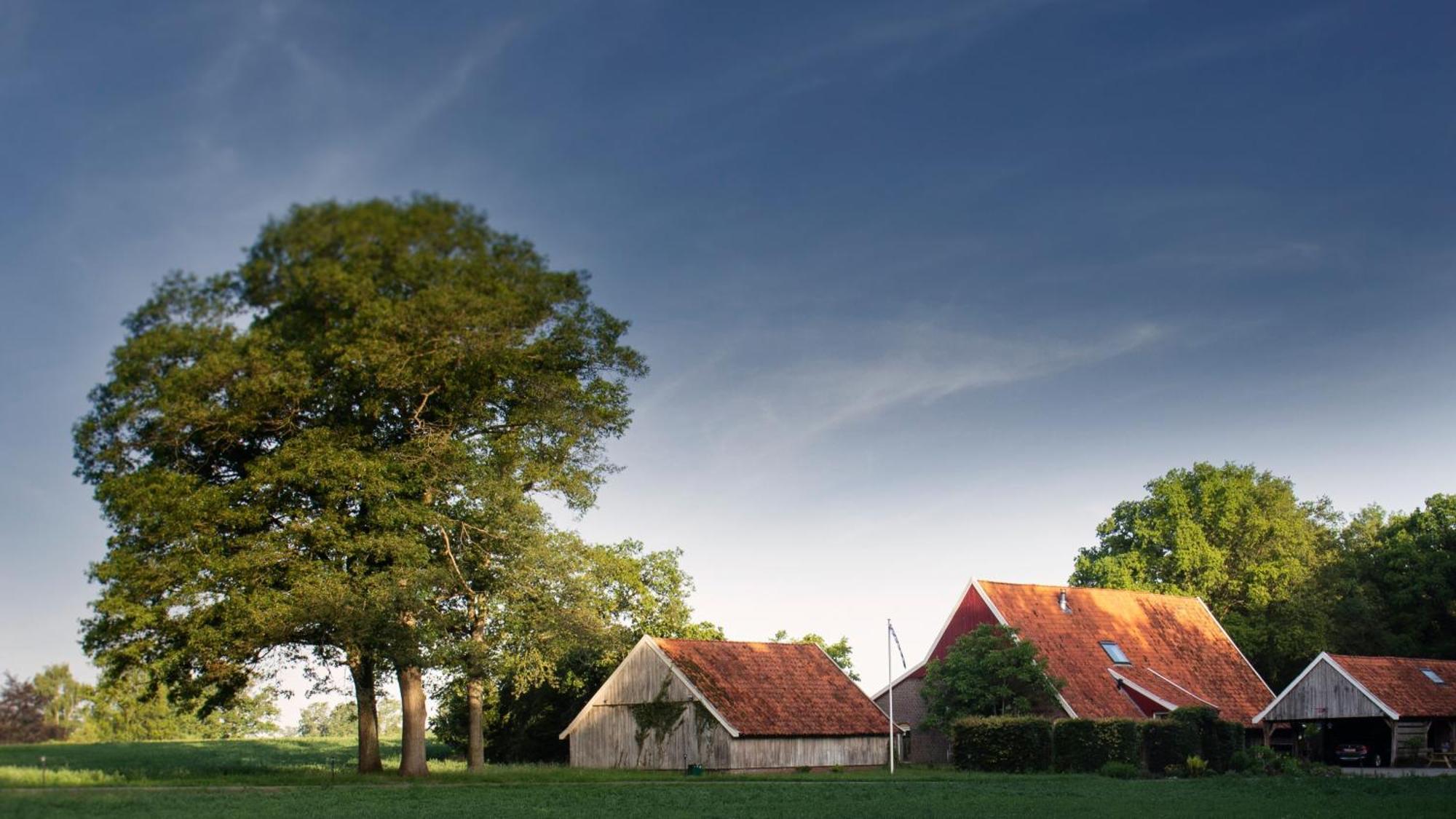 Buitenverblijf Het Grootenhuis Winterswijk Henxel ภายนอก รูปภาพ